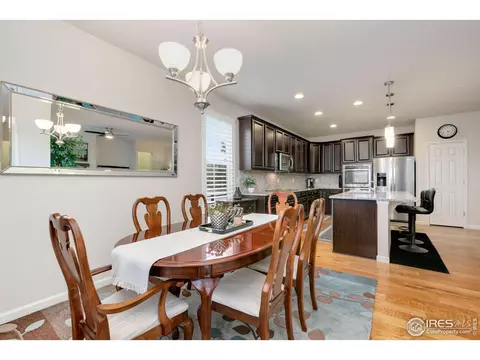 166 Halibut Dr, Windsor, CO 80550 photo 30