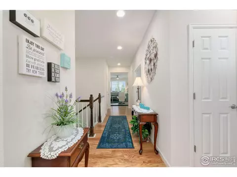 166 Halibut Dr, Windsor, CO 80550 photo 31