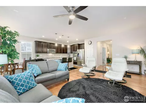166 Halibut Dr, Windsor, CO 80550 photo 5