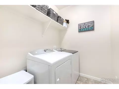 166 Halibut Dr, Windsor, CO 80550 photo 20