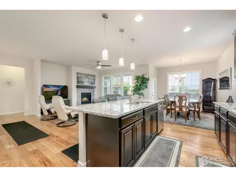 166 Halibut Dr, Windsor, CO 80550 photo 8