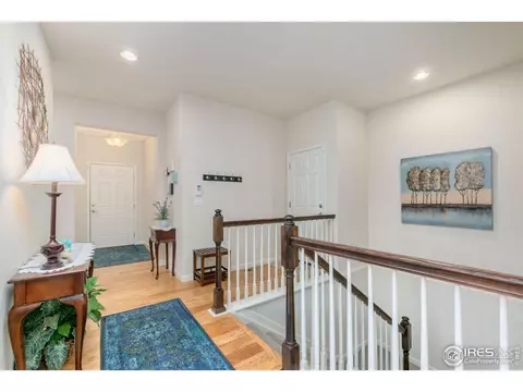 166 Halibut Dr, Windsor, CO 80550 photo 4