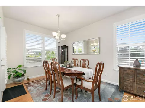 166 Halibut Dr, Windsor, CO 80550 photo 10