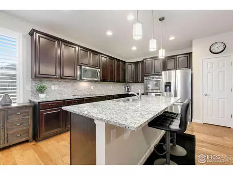 166 Halibut Dr, Windsor, CO 80550 photo 29
