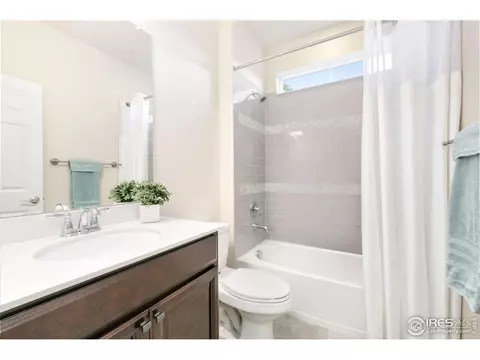 166 Halibut Dr, Windsor, CO 80550 photo 19