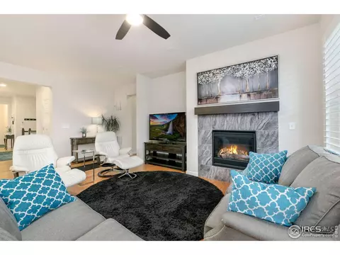 166 Halibut Dr, Windsor, CO 80550 photo 6