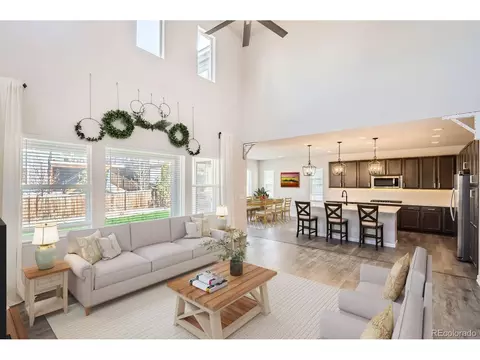 4672 Basalt Ridge Cir, Castle Rock, CO 80108