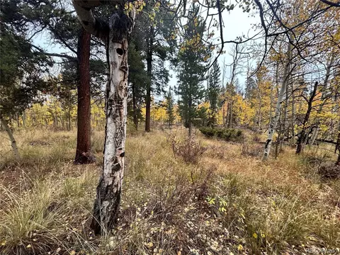 Wheat Way, Fairplay, CO 80440 photo 6