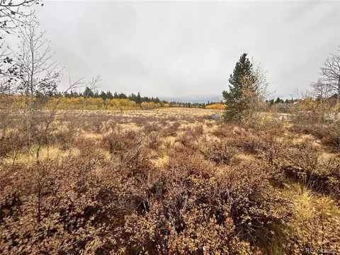 Wheat Way, Fairplay, CO 80440 photo 16