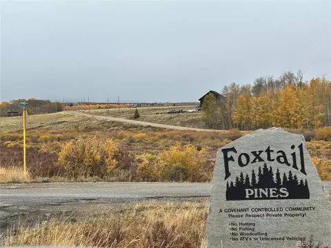 Wheat Way, Fairplay, CO 80440 photo 5