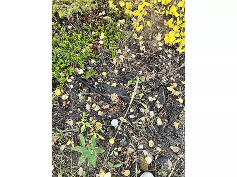 Wheat Way, Fairplay, CO 80440 photo 20