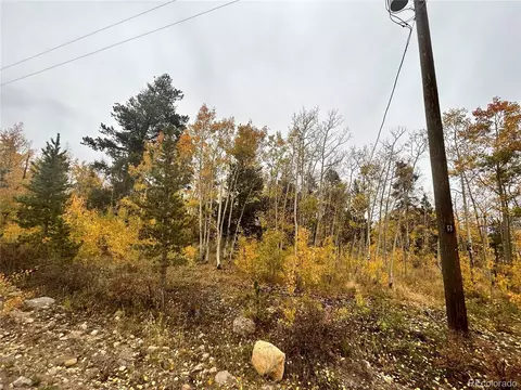 Wheat Way, Fairplay, CO 80440 photo 7