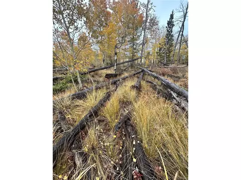 Wheat Way, Fairplay, CO 80440 photo 18