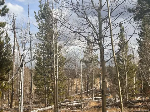 Wheat Way, Fairplay, CO 80440 photo 3