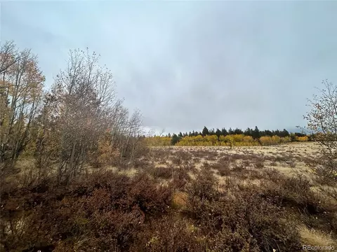 Wheat Way, Fairplay, CO 80440 photo 13