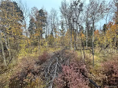 Wheat Way, Fairplay, CO 80440 photo 14