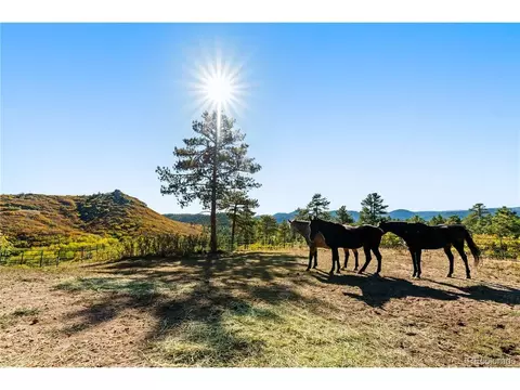 Other - 60 W Ranch Trl, Morrison, CO 80465 photo 14 of 16
