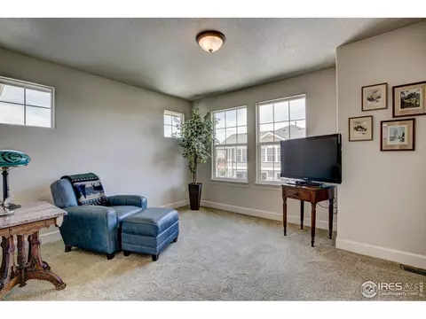 1820 E Seadrift Dr #7-B, Windsor, CO 80550 photo 33