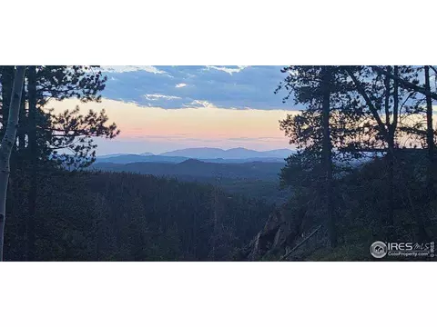 66 Dogrib Ct, Red Feather Lakes, CO 80545