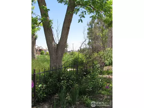 211 3rd Ave, Superior, CO 80027 photo 10