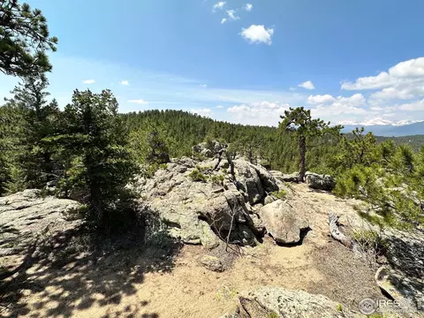 3957 Conifer Hill Rd, Lyons, CO 80540 photo 10