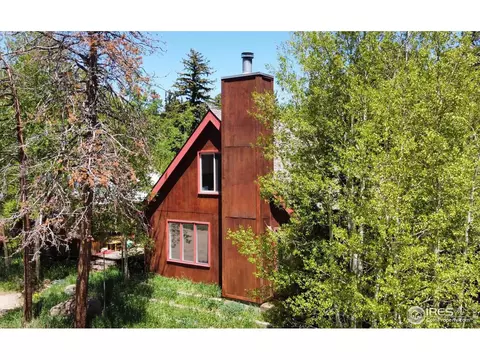 225 W Breed St, Nederland, CO 80466