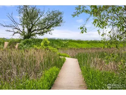 6491 Jib Ct, Boulder, CO 80301 photo 38
