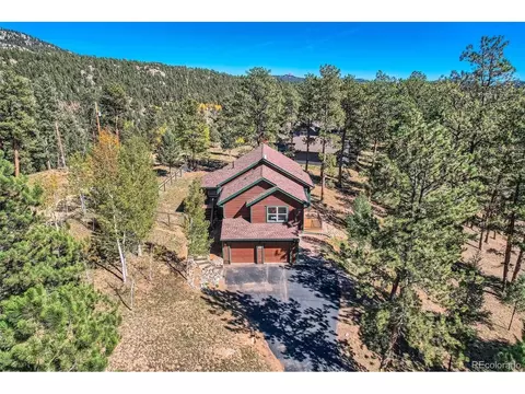 12478 S Green Ave, Pine, CO 80470 photo 29