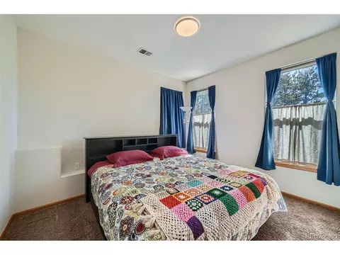 12478 S Green Ave, Pine, CO 80470 photo 23