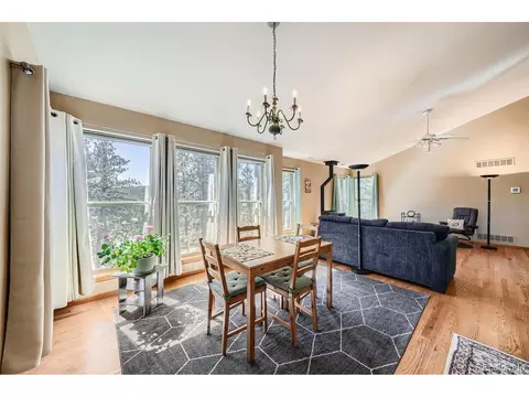 12478 S Green Ave, Pine, CO 80470 photo 9