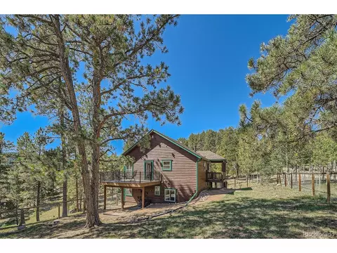 12478 S Green Ave, Pine, CO 80470 photo 28