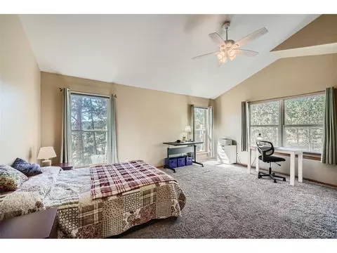 12478 S Green Ave, Pine, CO 80470 photo 14