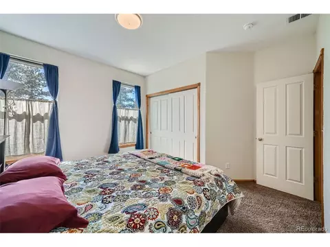 12478 S Green Ave, Pine, CO 80470 photo 24