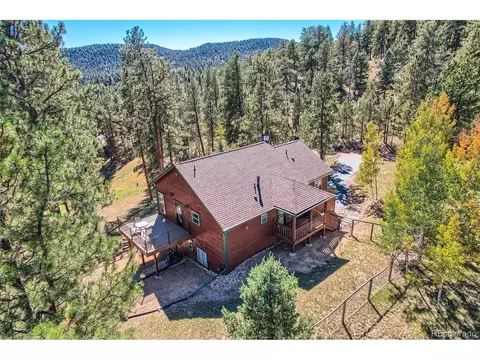 12478 S Green Ave, Pine, CO 80470 photo 32