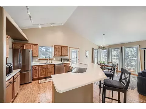 12478 S Green Ave, Pine, CO 80470 photo 10