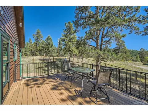 12478 S Green Ave, Pine, CO 80470 photo 26