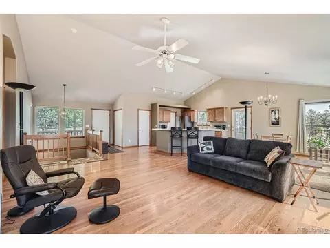 12478 S Green Ave, Pine, CO 80470 photo 8