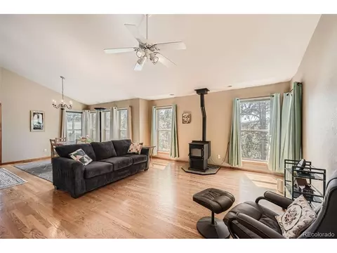 12478 S Green Ave, Pine, CO 80470 photo 7