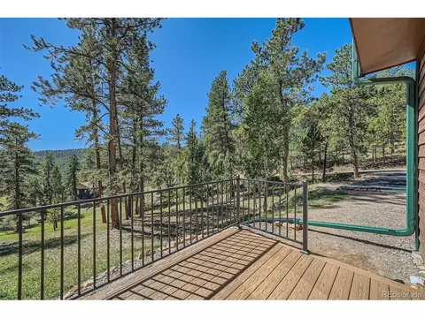 12478 S Green Ave, Pine, CO 80470 photo 25