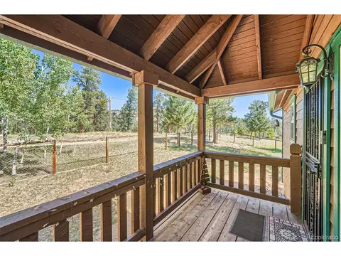 12478 S Green Ave, Pine, CO 80470 photo 6