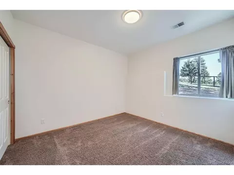 12478 S Green Ave, Pine, CO 80470 photo 21