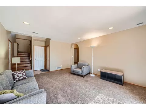 12478 S Green Ave, Pine, CO 80470 photo 18