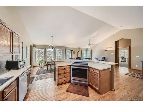 12478 S Green Ave, Pine, CO 80470 photo 12
