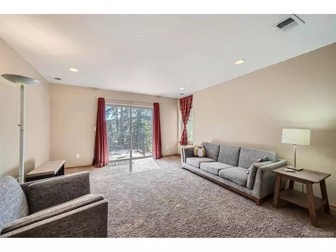 12478 S Green Ave, Pine, CO 80470 photo 19