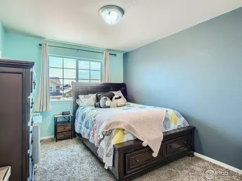 842 Sunlight Peak Dr, Windsor, CO 80550 photo 19