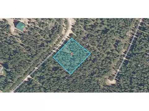 336 Eva Rd, Idaho Springs, CO 80452