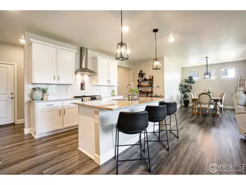 6040 Gannet Dr, Timnath, CO 80547 photo 17