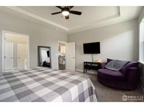 6040 Gannet Dr, Timnath, CO 80547 photo 22