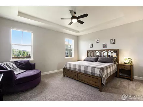 6040 Gannet Dr, Timnath, CO 80547 photo 21