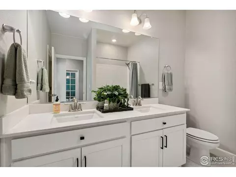 6040 Gannet Dr, Timnath, CO 80547 photo 10
